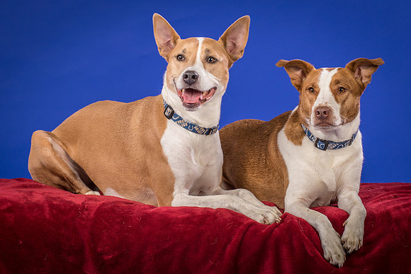 Urschel-Ethel and Ruby-9732