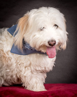 Foster Frosty-0533