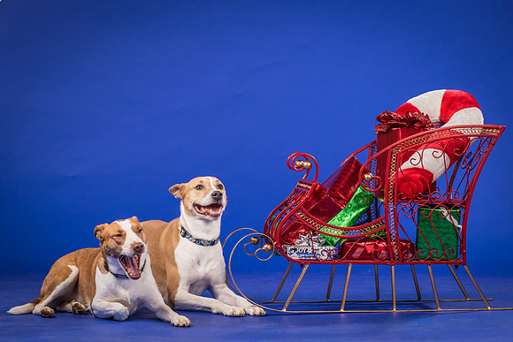 Urschel-Ethel and Ruby-9639