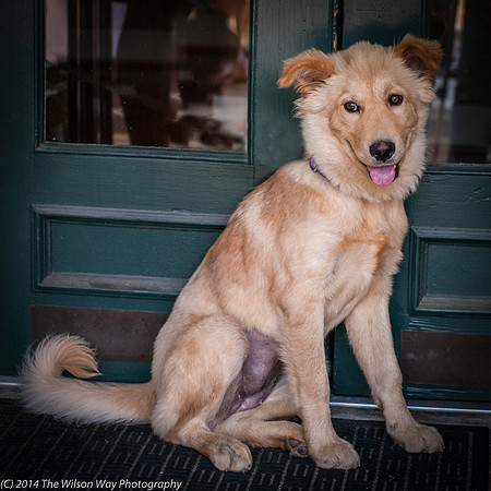 Foster Presha-9448