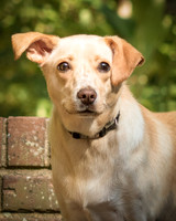 Foster June-8420