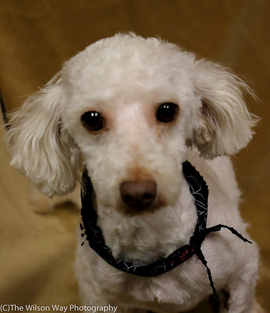 Foster Loretta-0208