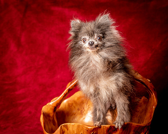 Foster Loretta-1340