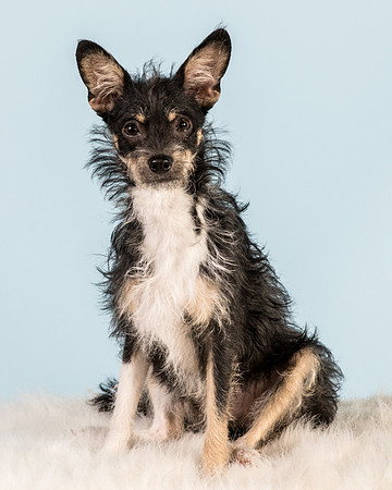 Foster Riley-5035