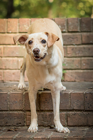 Foster June-8446