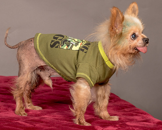 Foster Horace-5258