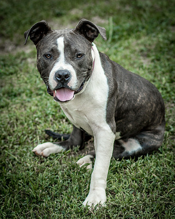 Foster Maya-0278