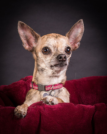 Foster Selina-1129