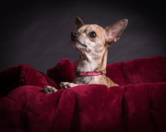 Foster Selina-1127