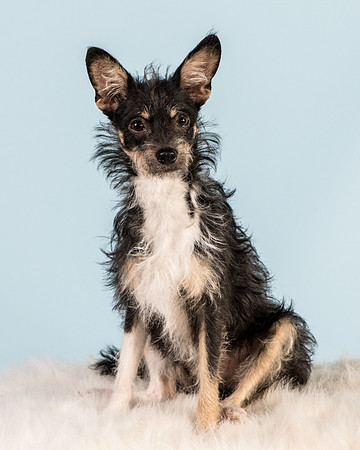 Foster Riley-5033