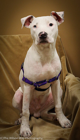 Foster Curt-0564