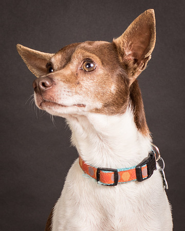 Foster Gus-0327