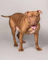 Foster Coco-2081