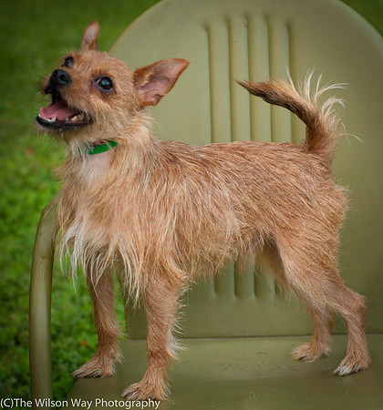 Foster Harry-3604