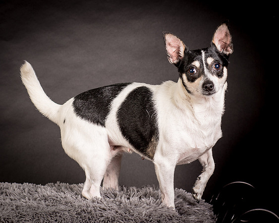 Foster Richa-0463