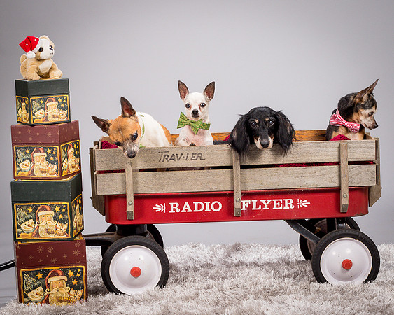 Foster Hospice Gang-3901