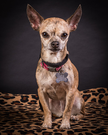 Foster Selina-1265