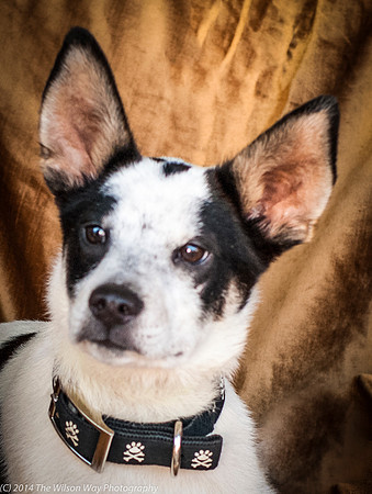 Foster Oliver-8960