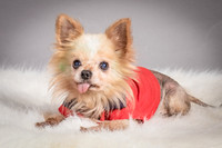 Foster Horace-5075