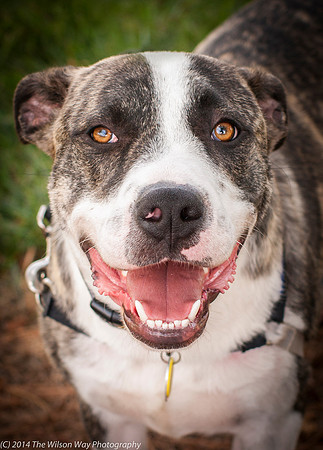 Foster Louie-9702