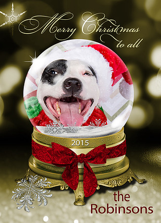gold 2015robinson snowglobe
