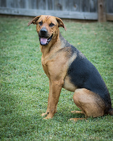 Foster Maya-0402