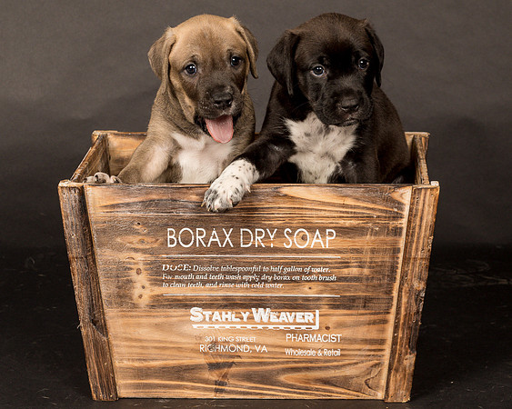 Fosters Pebbles and Gazoo-1723