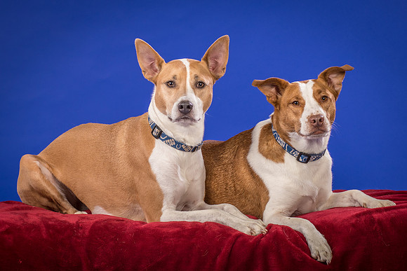 Urschel-Ethel and Ruby-9718