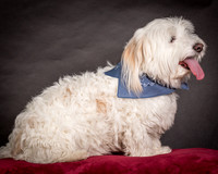 Foster Frosty-0555