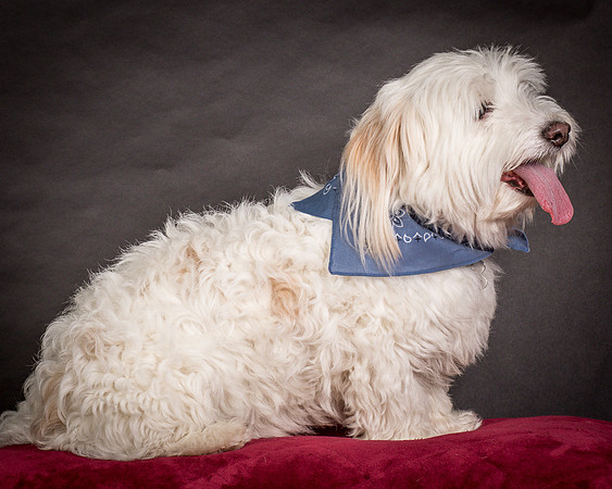Foster Frosty-0555
