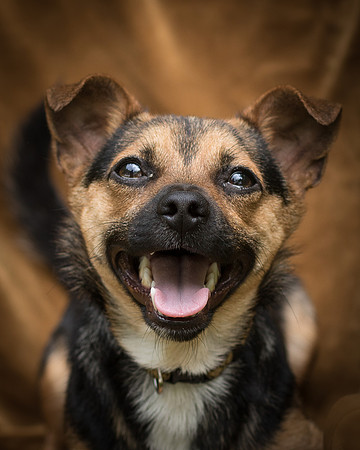 Foster Calvin-0854
