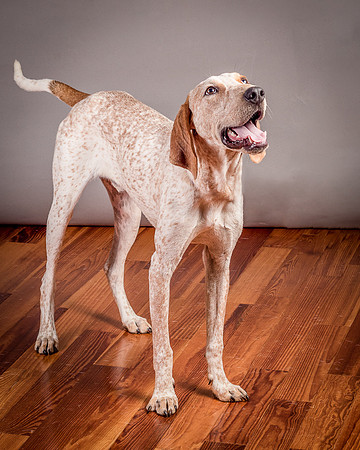 Foster Memphis-3154