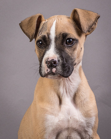 Foster Barnabas-4479