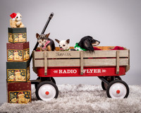 Foster Hospice Gang-3812