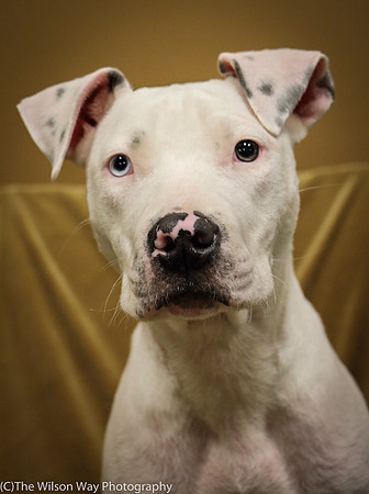 Foster Curt-0576