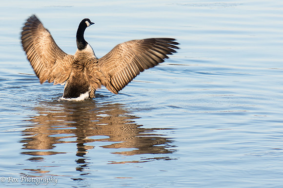 20140228-SJF_5864