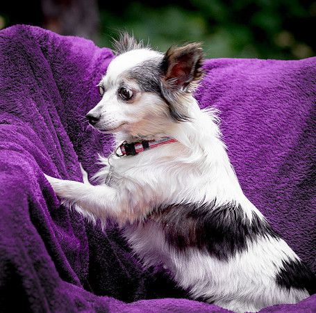 Foster Anouk-8776