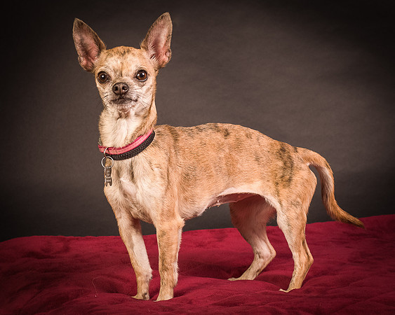 Foster Selina-1054
