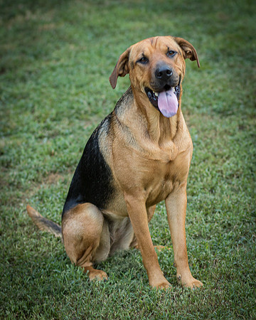 Foster Maya-0409