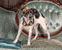 Foster Billie-8129