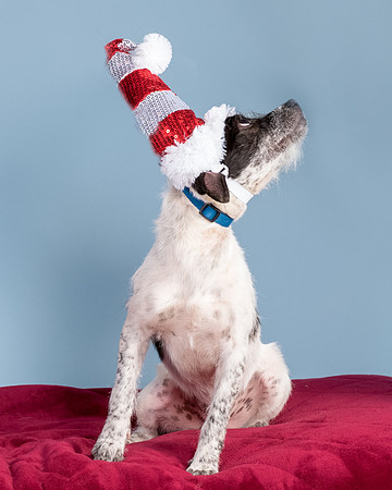 Foster Billie-8204