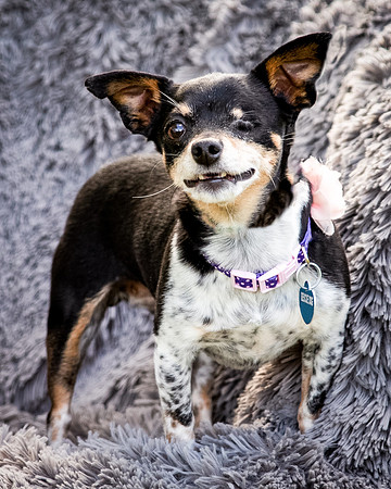 Foster Leela-7987