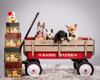 Foster Hospice Gang-3803