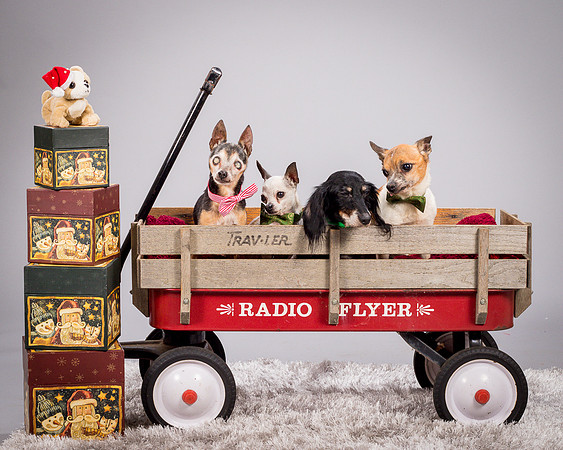 Foster Hospice Gang-3803