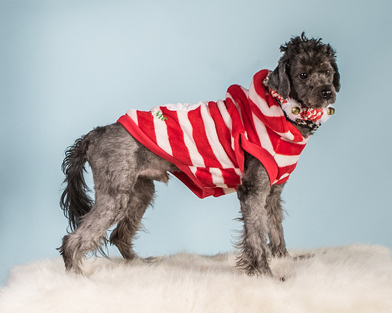 Foster Oakland-5574