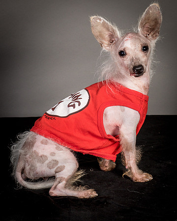 Foster Gobo-2843