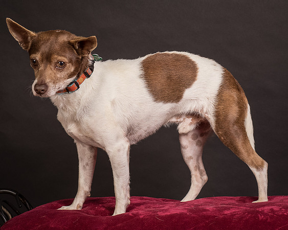 Foster Gus-0367
