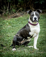 Foster Maya-0200