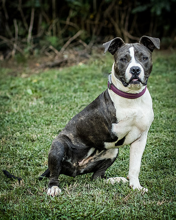 Foster Maya-0200