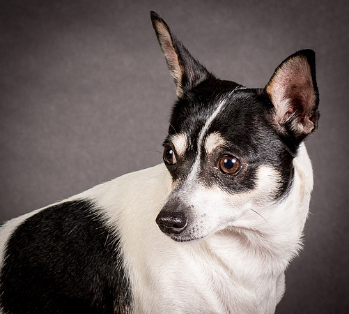 Foster Richa-0475